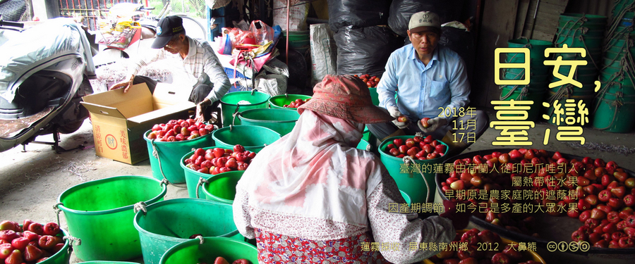 365 日安，臺灣之2018年11月17日